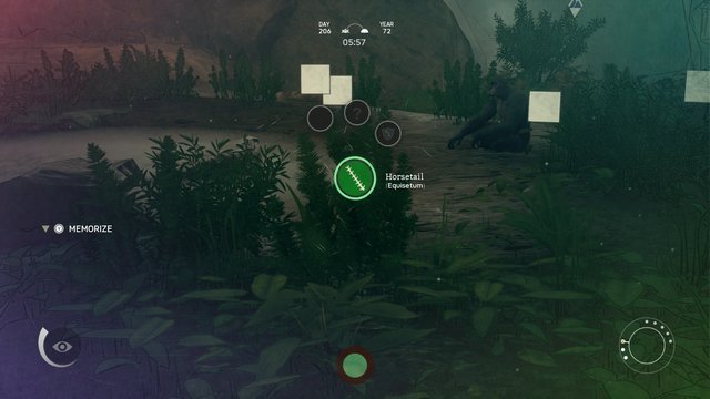 Ancestors Heal Broken Bones 2