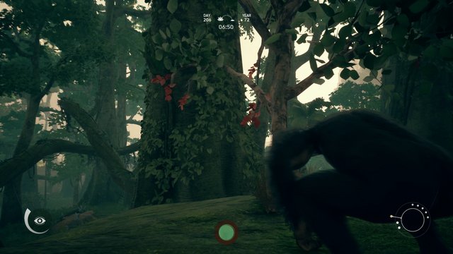 Ancestors Heal Broken Bones 3