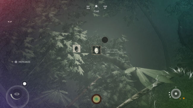 Ancestors Stop Bleeding 1