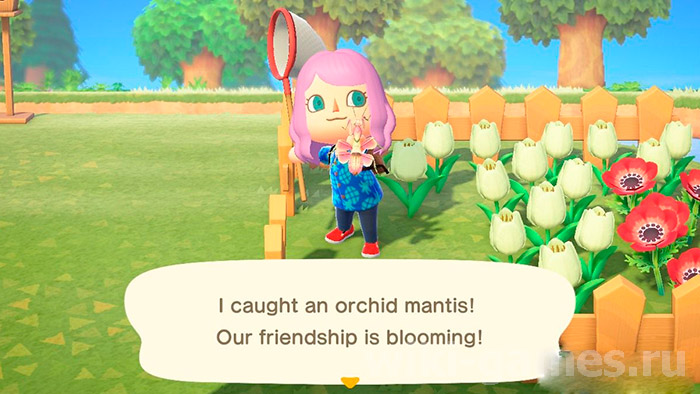 animal cross orhid 1