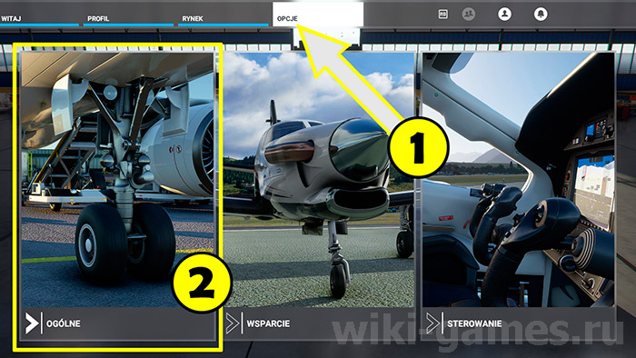 Microsoft Flight Simulator graphiks 1