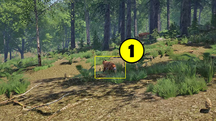 Medieval Dynasty bear 3