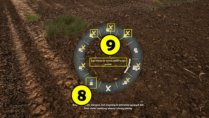 Medieval Dynasty zoloto 11