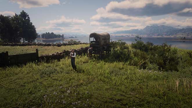 rdr 2 скупка краденных лошадей