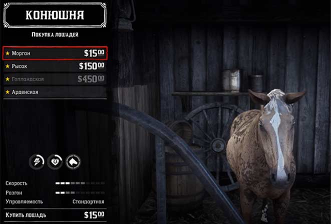 Red Dead Redemption 2 - Моргон