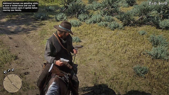 Red Dead Redemption 2 - два пистолета