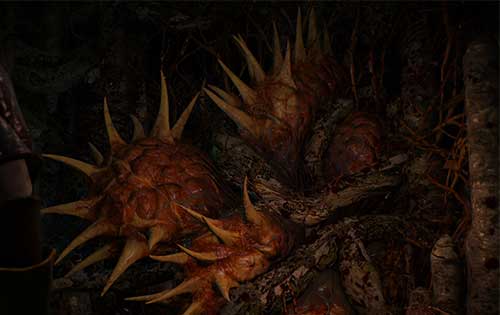 The witcher 3 дух в дереве