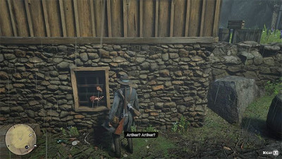 Блаженны ли кроткие - Прохождение Red Dead Redemption 2 // Глава №2 - Миссия №11